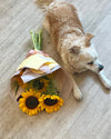 Seasonal Favorite | Sunflowers thumbnail 2