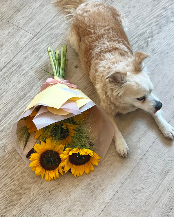Seasonal Favorite | Sunflowers image 2