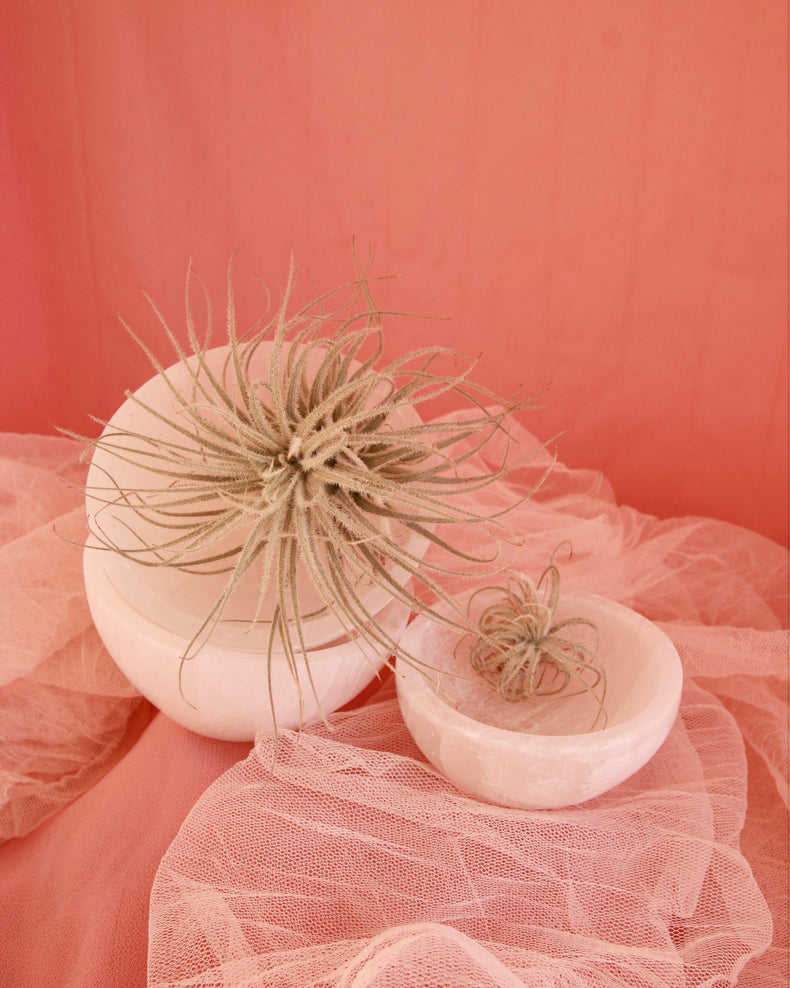 Hand Carved Selenite Bowl