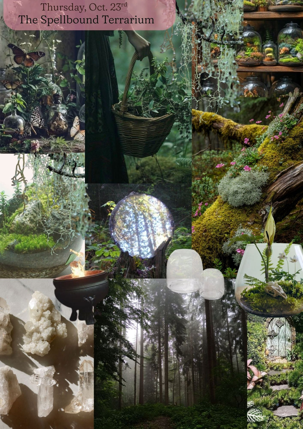 Fall Series Workshops | The Spellbound Terrarium