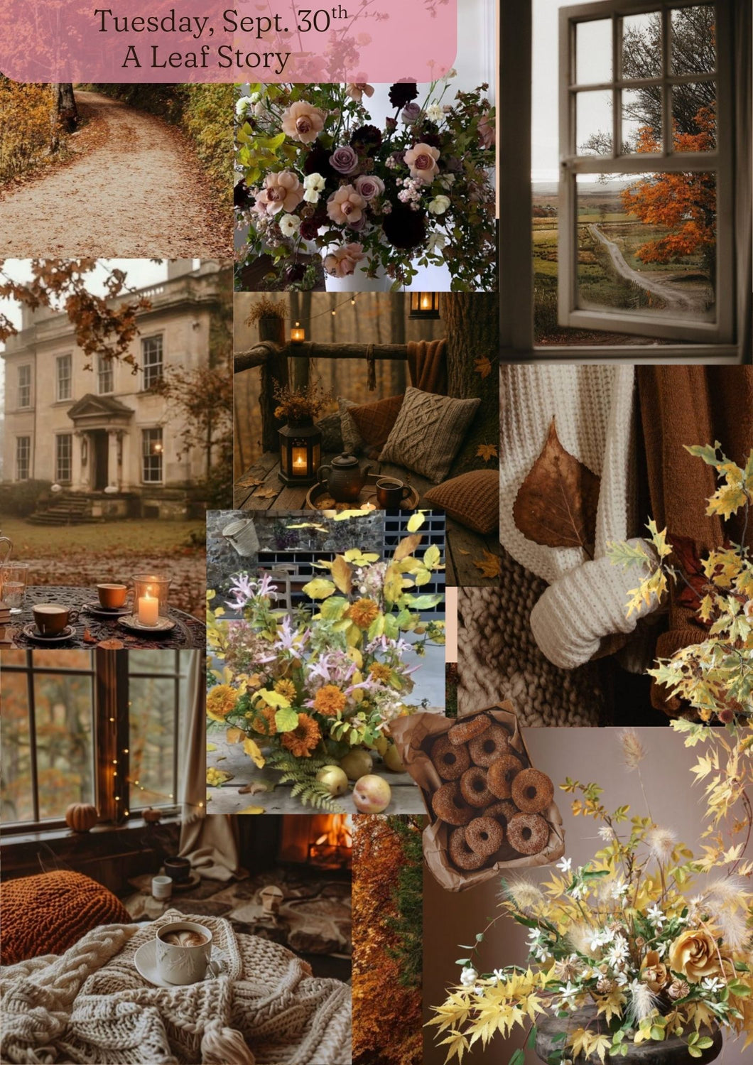 Fall Series Workshops | A Leaf Story