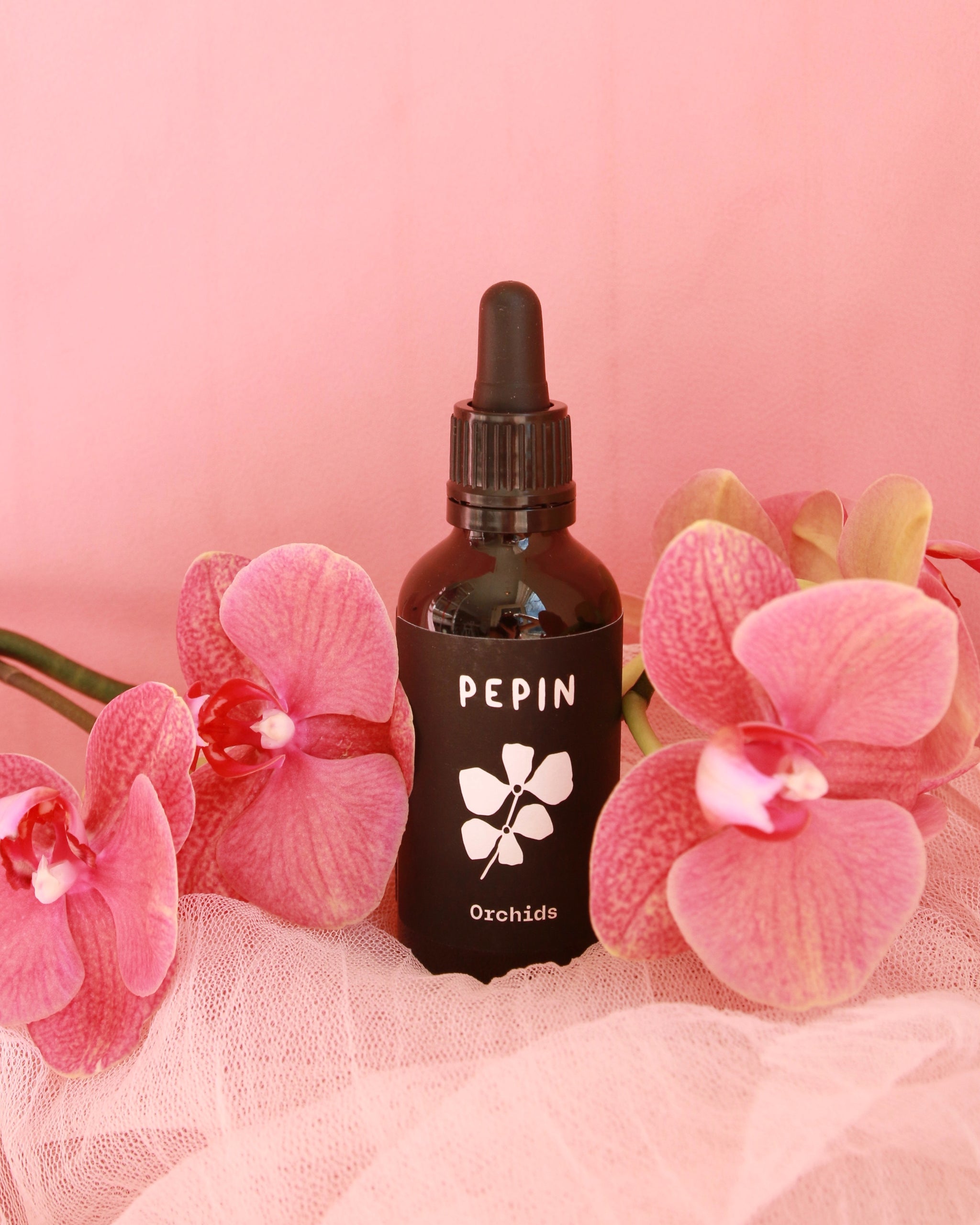 Houseplants – Rococo Floral co.