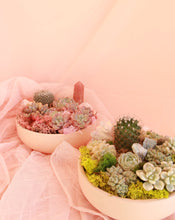 Load image into Gallery viewer, *Magical* Succulent Bowl
