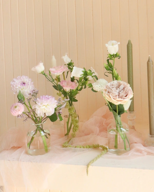 Neutral, Garden image 2
