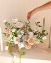 Neutral, Garden thumbnail 2