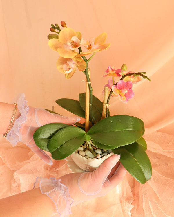 Teacup Orchid Planter image 1