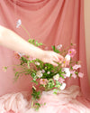 Locals Only! Designer's Choice Arrangement thumbnail 2