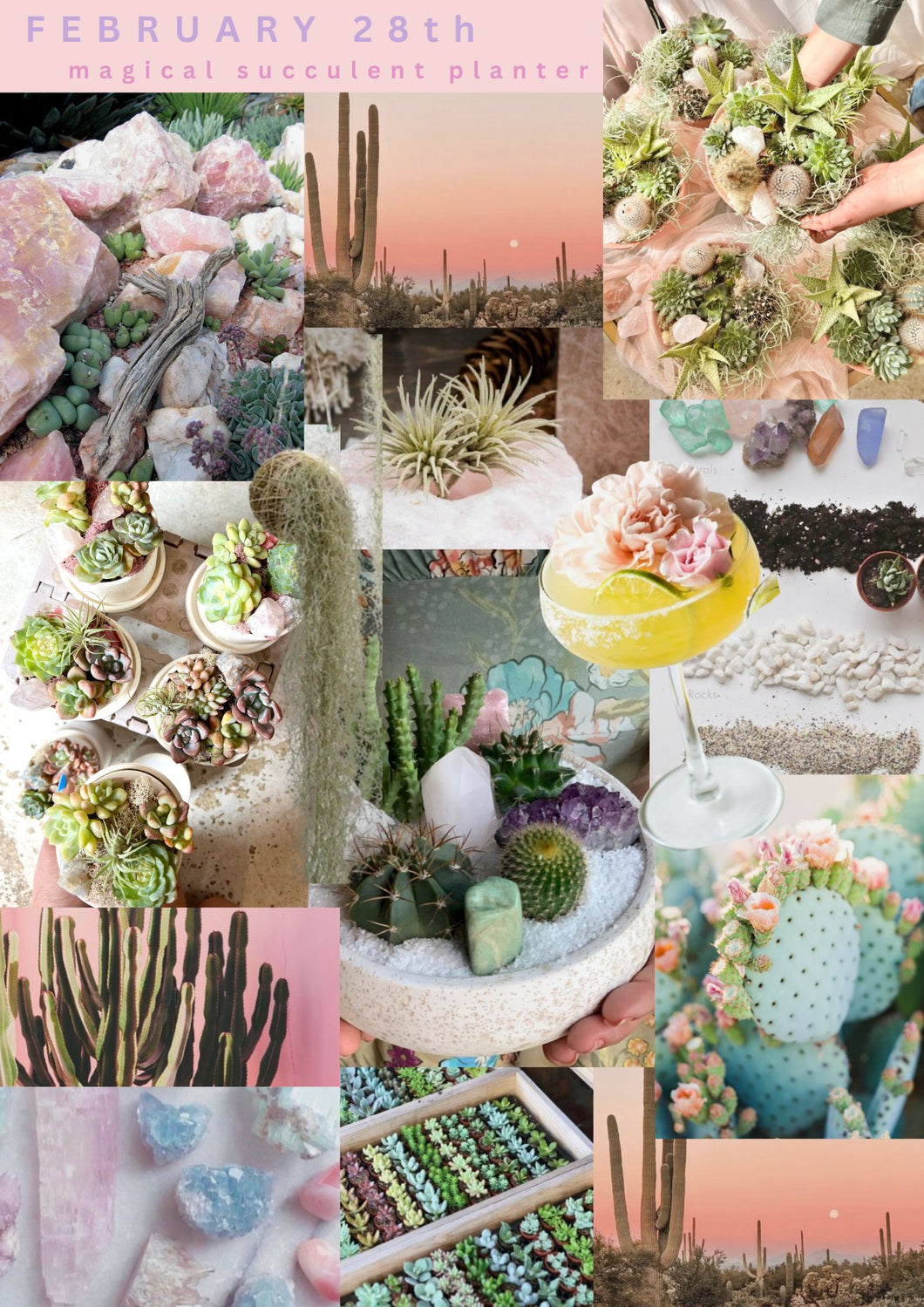 Rococo Winter Series Workshops | 2.28 *Magical* Succulent Planter