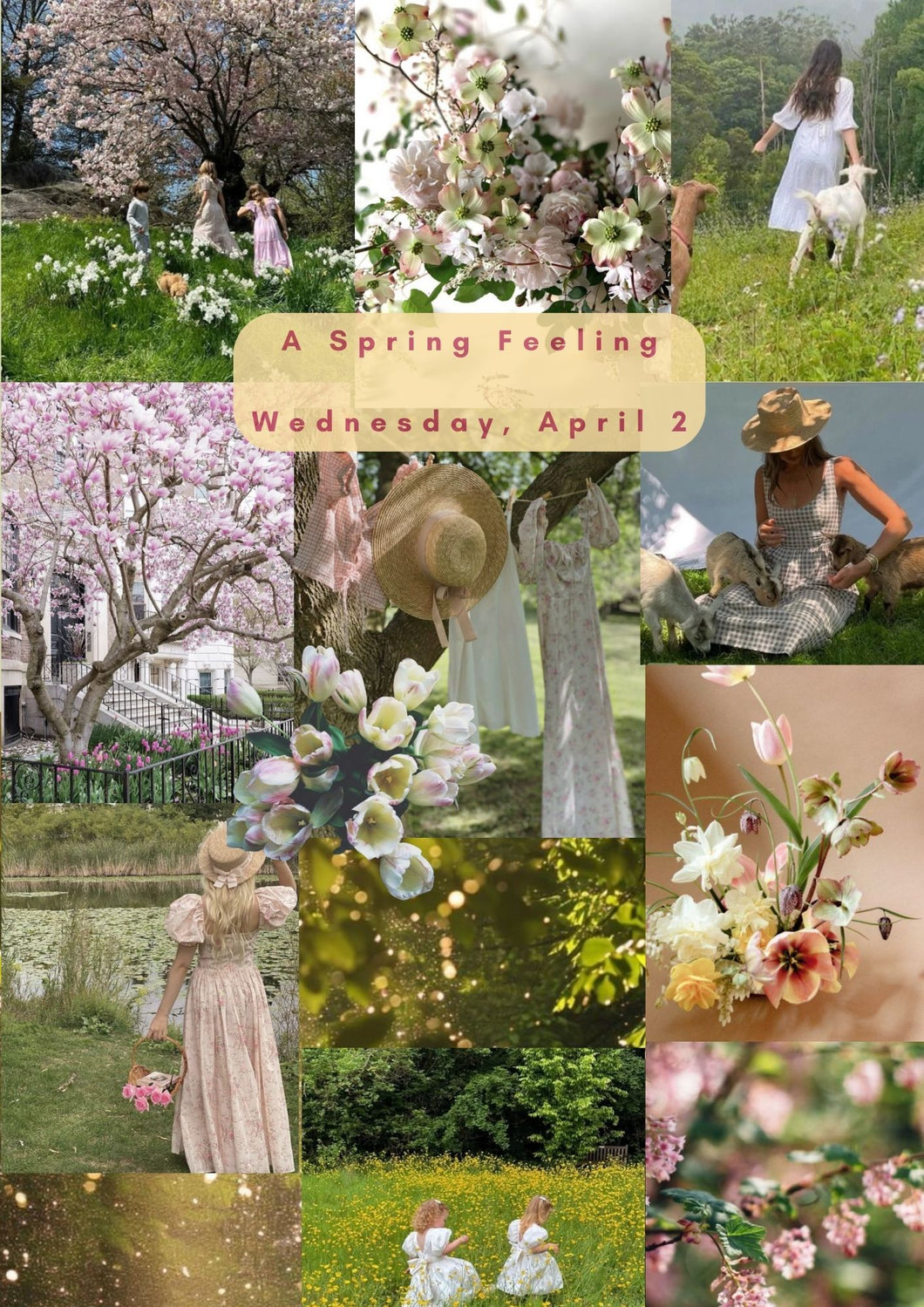 Spring Series Workshops | A Spring Feeling 4.2.25