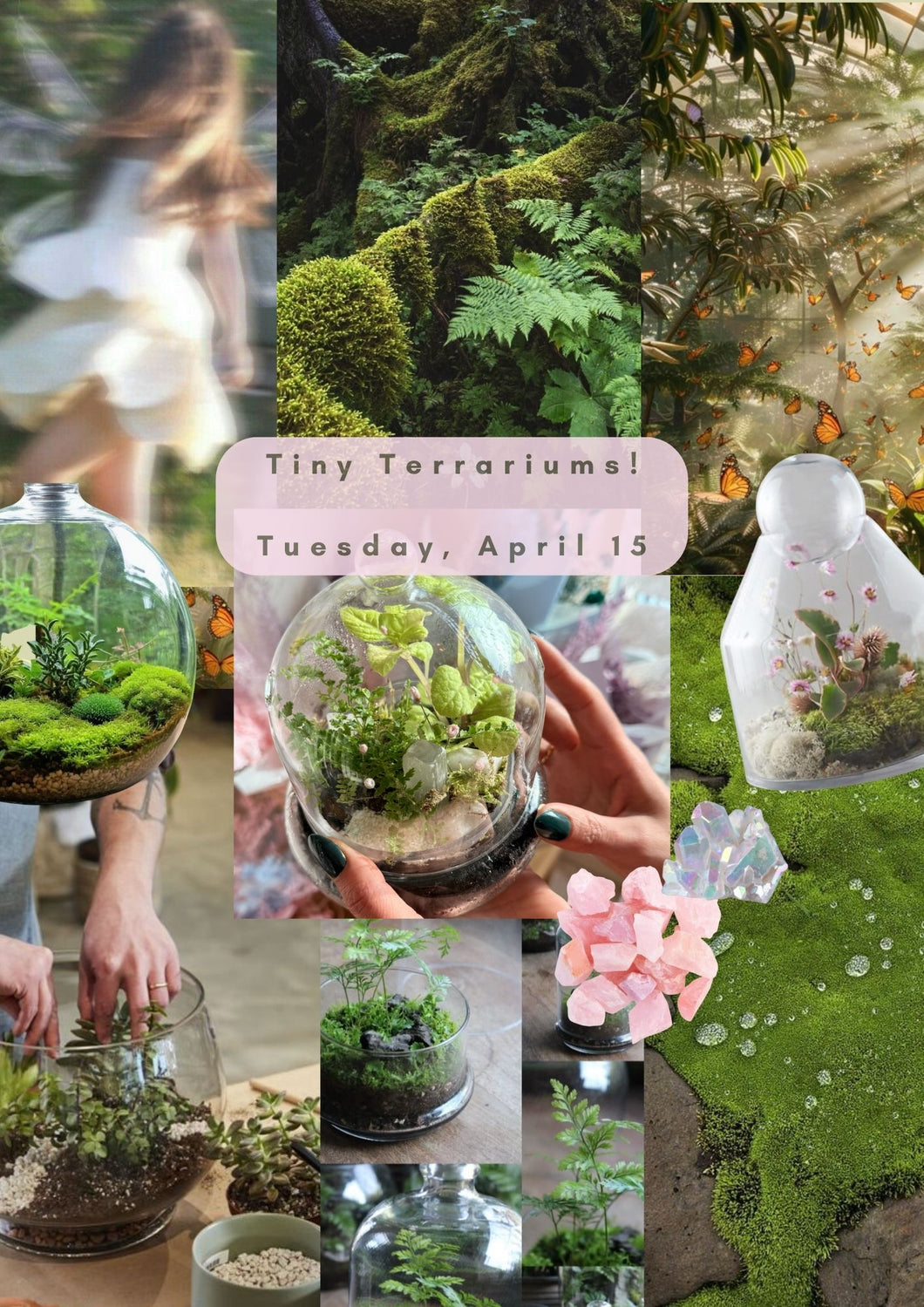 Spring Series Workshops | Tiny Terrariums 4.15.25