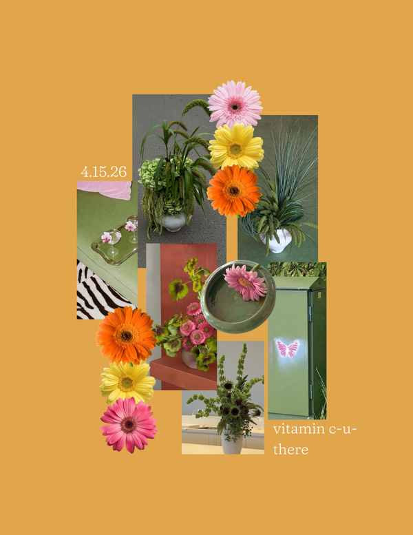 Spring Series Workshop | 4.15 Vitamin C-U-There image 1