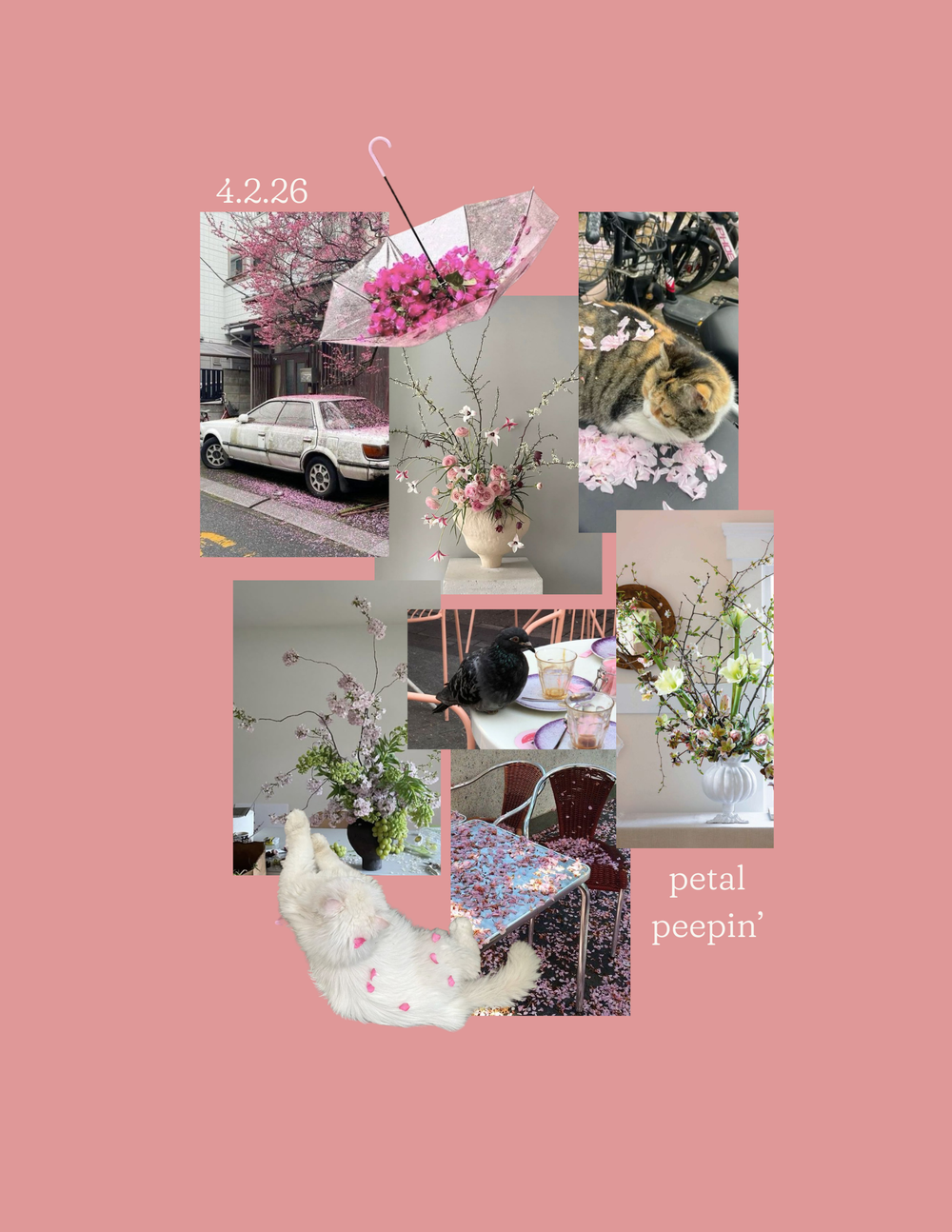 Spring Workshop Series | 4.2.26 Petal Peepin'