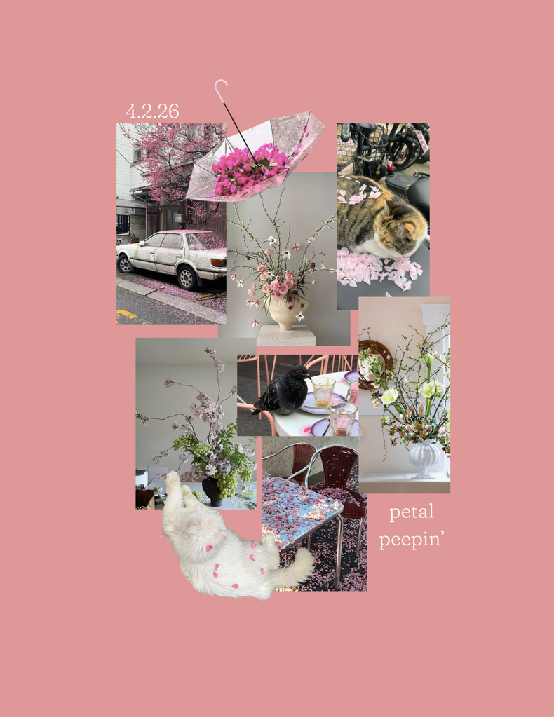 Spring Workshop Series | 4.2.26 Petal Peepin'