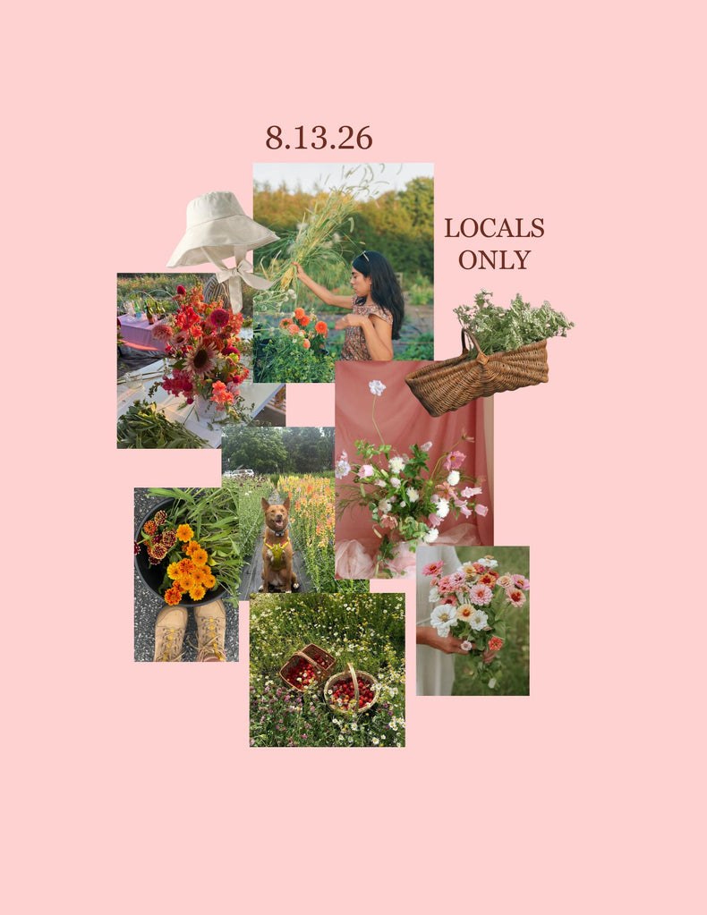 LOCALS ONLY! Workshop | 8.13.26