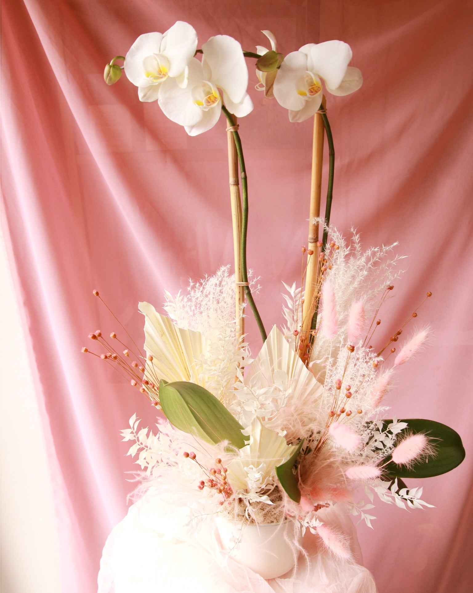 Houseplants – Rococo Floral co.